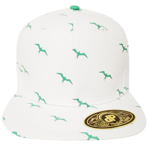 Iwa-Bird-White-Mint-Snapback-Hat
