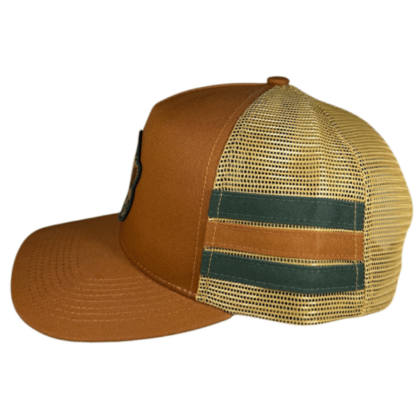 anxd king street/ brown stripes