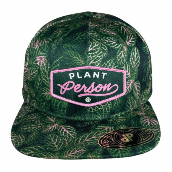 mid curve 5 panel khaki/ kelly: charleston s. carolina