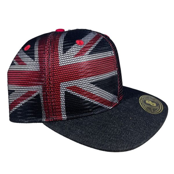 hawaiian flag meshover snapback
