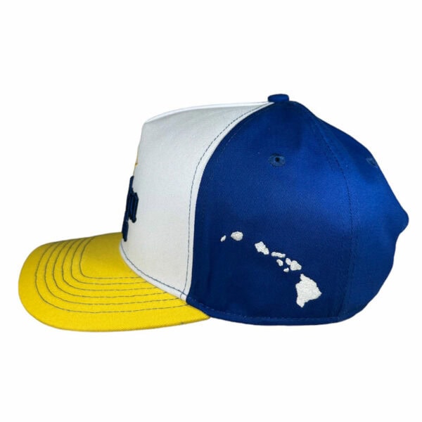 the anxd aloha extra snapback hat