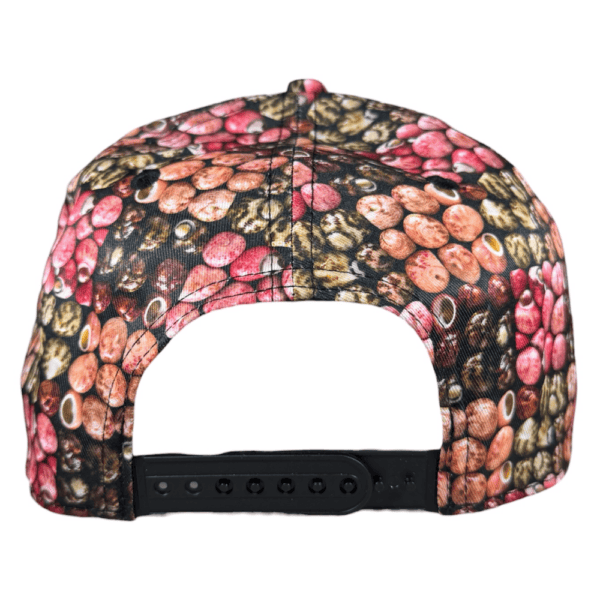 black denim / niihau shells snapback
