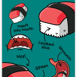 anatomy of a musubi sticker